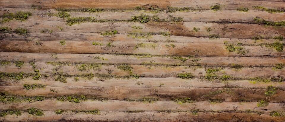 ARTSTONE - BAOBAB MOSS DEKORATİF AHŞAP DUVAR PANELİ (1)