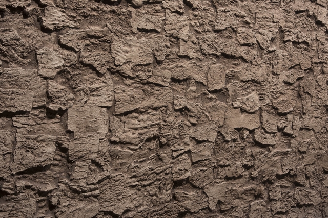 ARTSTONE - CORK QUERCUS MANTAR DUVAR PANELİ